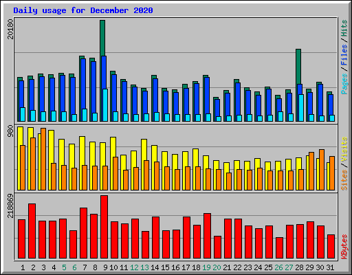 Daily usage for December 2020