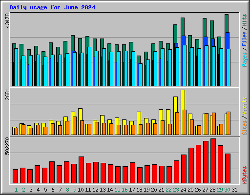 Daily usage for June 2024