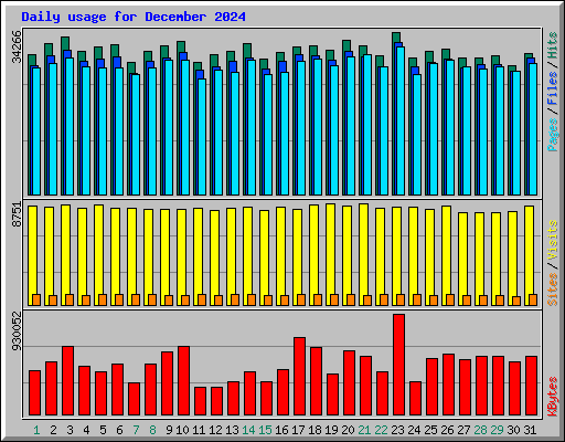 Daily usage for December 2024