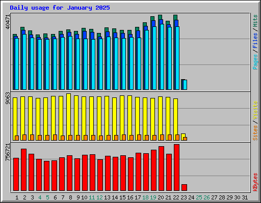 Daily usage for January 2025