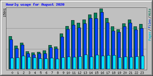 Hourly usage for August 2020