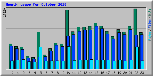 Hourly usage for October 2020