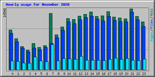 Hourly usage for November 2020