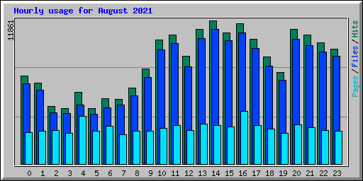 Hourly usage for August 2021