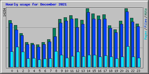 Hourly usage for December 2021