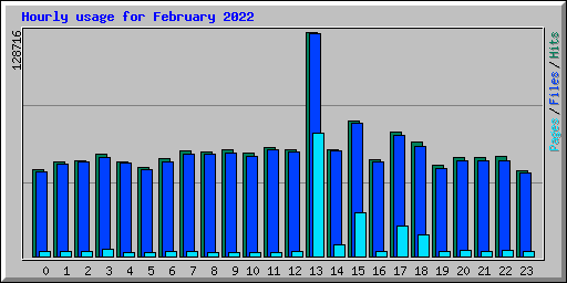 Hourly usage for February 2022