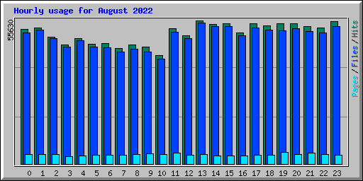 Hourly usage for August 2022