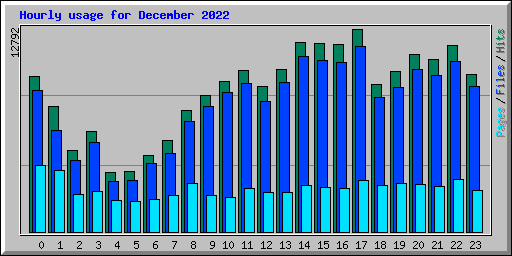 Hourly usage for December 2022