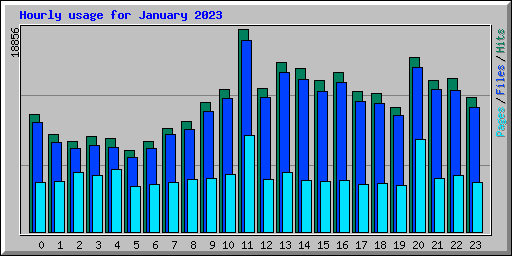 Hourly usage for January 2023