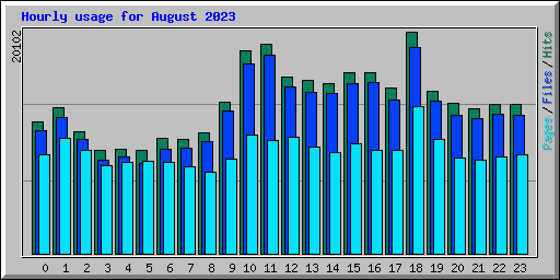 Hourly usage for August 2023