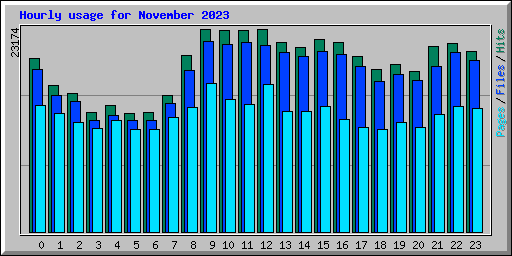 Hourly usage for November 2023