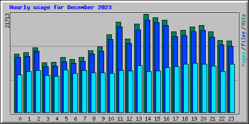 Hourly usage for December 2023