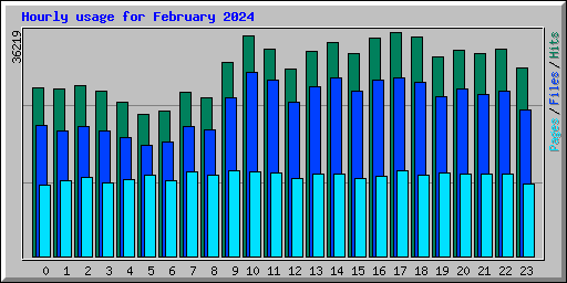 Hourly usage for February 2024