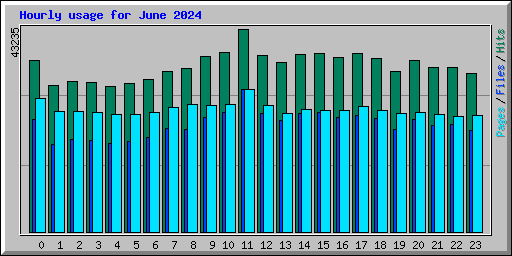 Hourly usage for June 2024