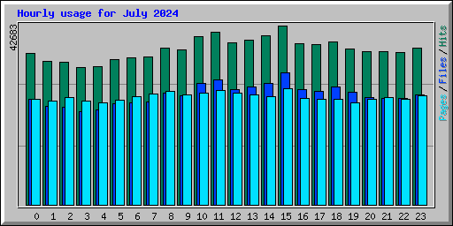 Hourly usage for July 2024