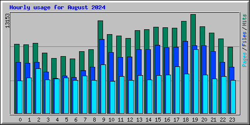 Hourly usage for August 2024