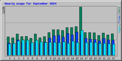 Hourly usage for September 2024