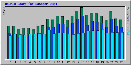 Hourly usage for October 2024