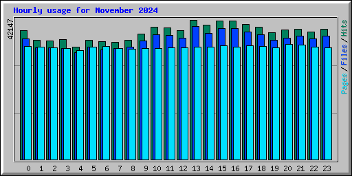 Hourly usage for November 2024