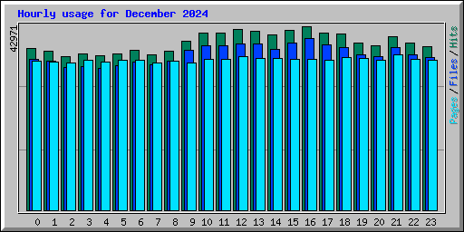 Hourly usage for December 2024