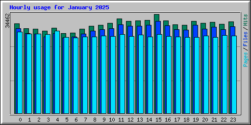 Hourly usage for January 2025