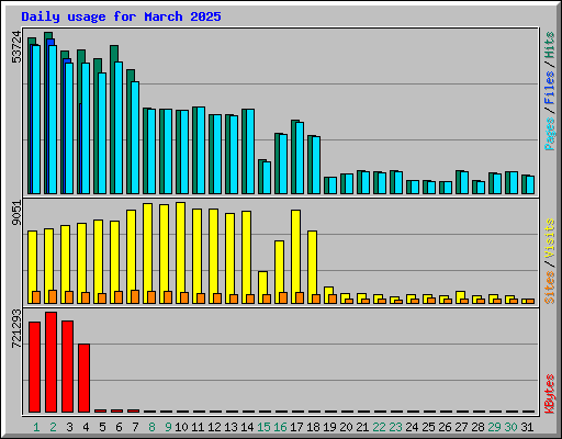 Daily usage for March 2025