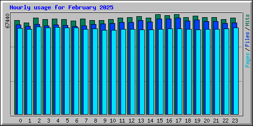 Hourly usage for February 2025