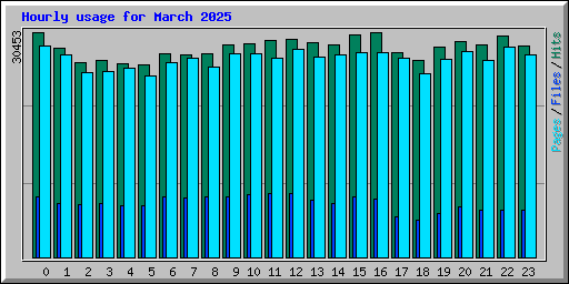 Hourly usage for March 2025
