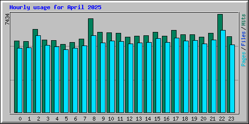 Hourly usage for April 2025