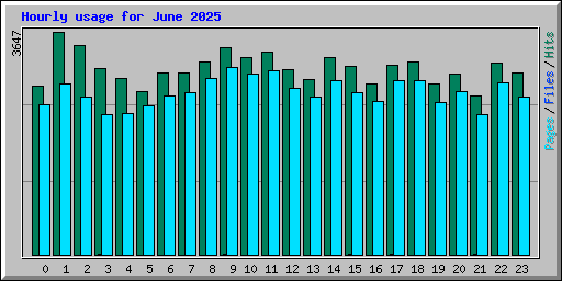 Hourly usage for June 2025
