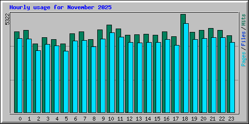 Hourly usage for November 2025