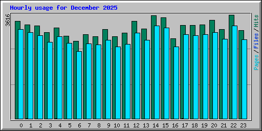 Hourly usage for December 2025